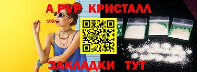 стаф Тула