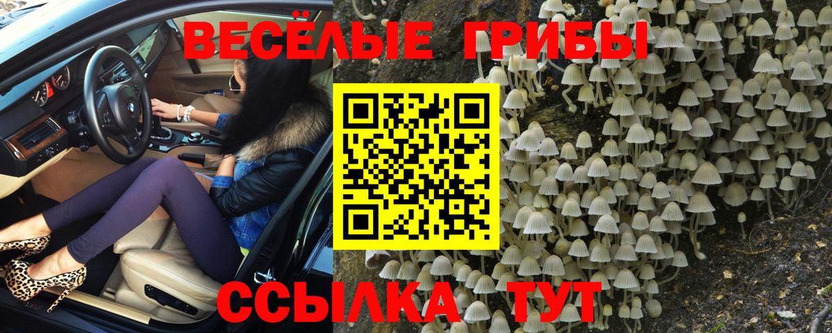 Омск  Галлюциногенные грибы Magic Shrooms  Вход с VPN 