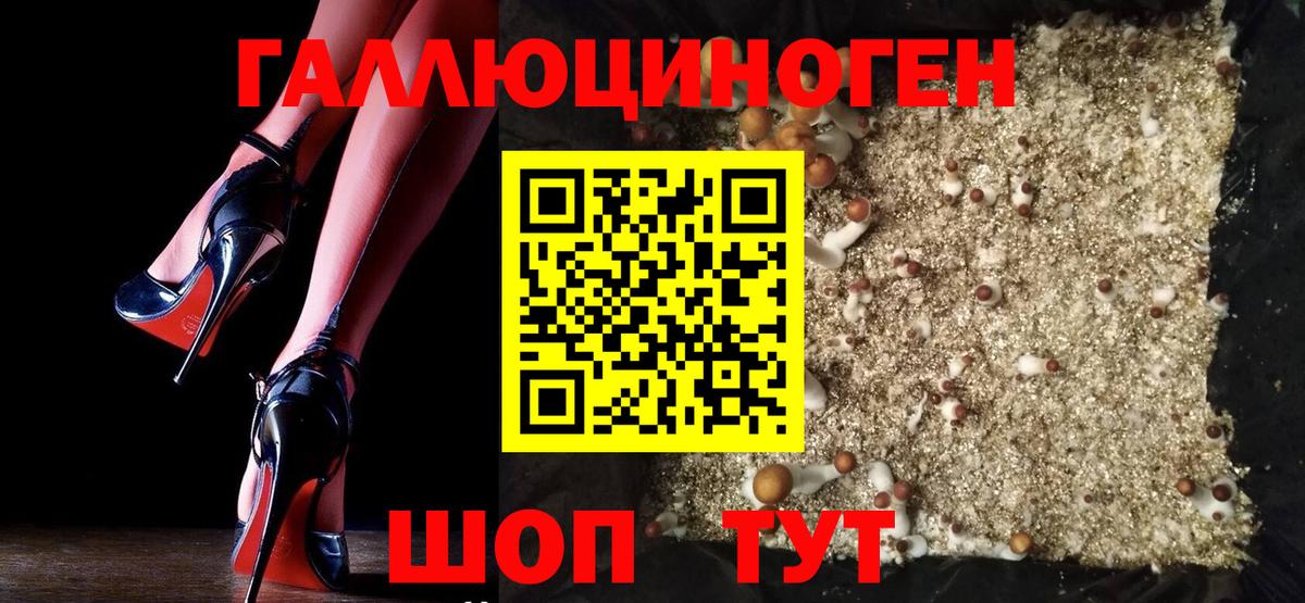 Галлюциногенные грибы мицелий Омск